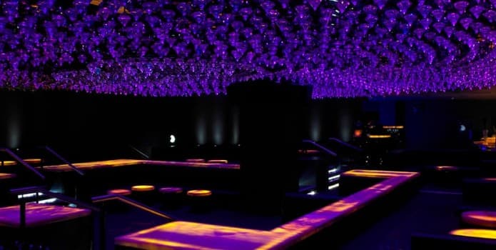 JALOUSE - photo 4