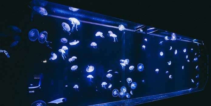 REIGN CLUB LONDON GUESTLIST - photo 2