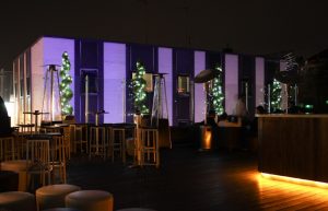 Golden Bee : London's Top Bars. Great nightlife, extensive cocktail list, one of London's most exclusive bars.