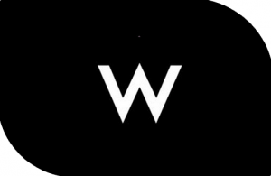 WYLD bar logo